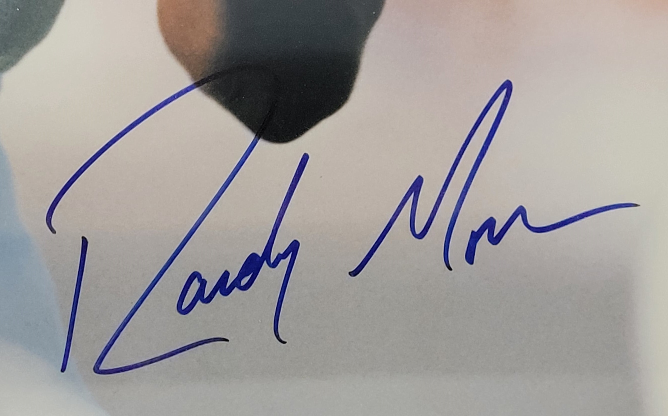 RYAN MARC & McGINLEY ARMITANOポストカード付 RYAN MARC & McGINLEY ARMITANOポストカード付