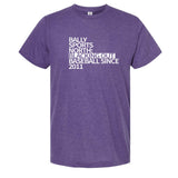 Baseball Blackout Minnesota T-Shirt