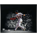 Max Kepler Minnesota Twins Autographed 11x14 Photo (MLB & Fanatics)