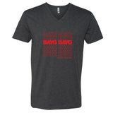 BAYG Minnesota V-Neck T-Shirt